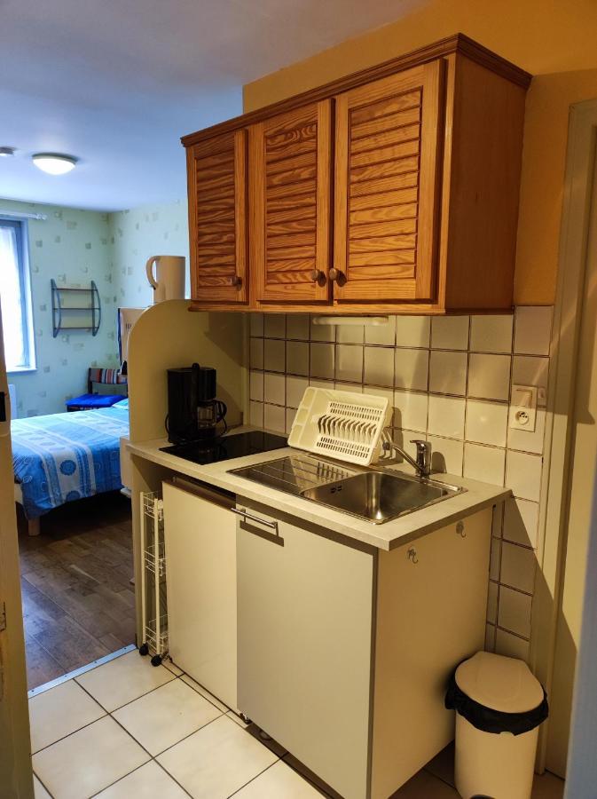 Residence L'Alexandra 2 Etoiles Бурбонн-ле-Бен Экстерьер фото